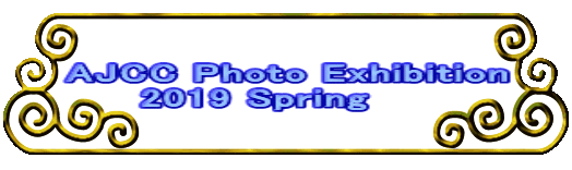 AJCC Photo Exhibition      2019 Spring