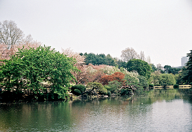 クラシックカメラ銘々伝 フジペット万歳