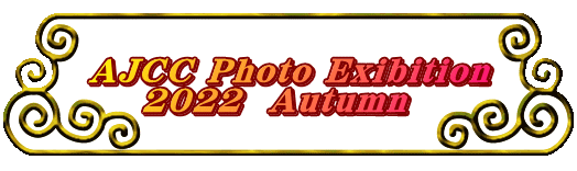 AJCC Photo Exibition     2022  Autumn