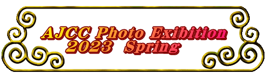 AJCC Photo Exibition     2023  Spring