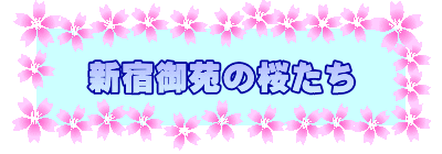 新宿御苑の桜たち