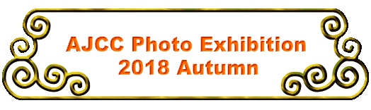 AJCC Photo Exhibition         2018 Autumn
